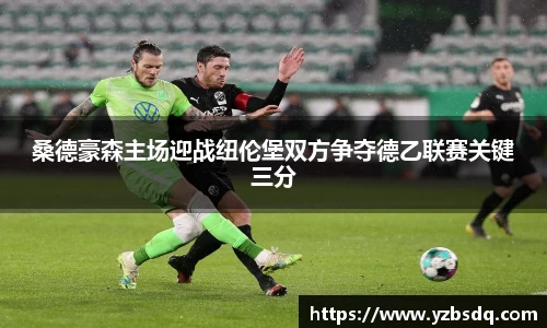 桑德豪森主场迎战纽伦堡双方争夺德乙联赛关键三分