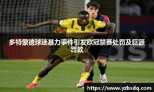 多特蒙德球迷暴力事件引发欧冠禁赛处罚及巨额罚款