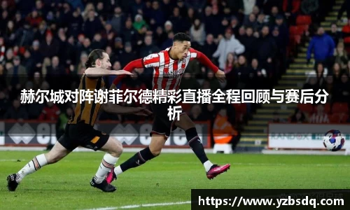 赫尔城对阵谢菲尔德精彩直播全程回顾与赛后分析